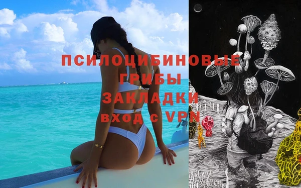 mdpv Белокуриха