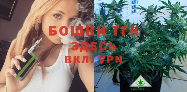 не бодяженный Каменногорск