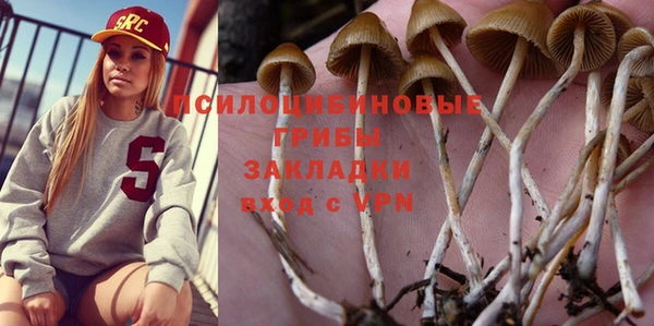 mdpv Белокуриха