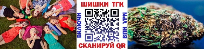 купить   Пионерский  МАРИХУАНА SATIVA & INDICA 